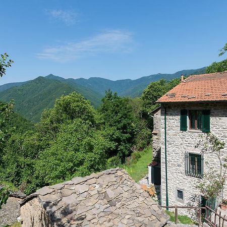 La Casa Nel Bosco-Senza Auto Pension Ponte della Venturina Buitenkant foto