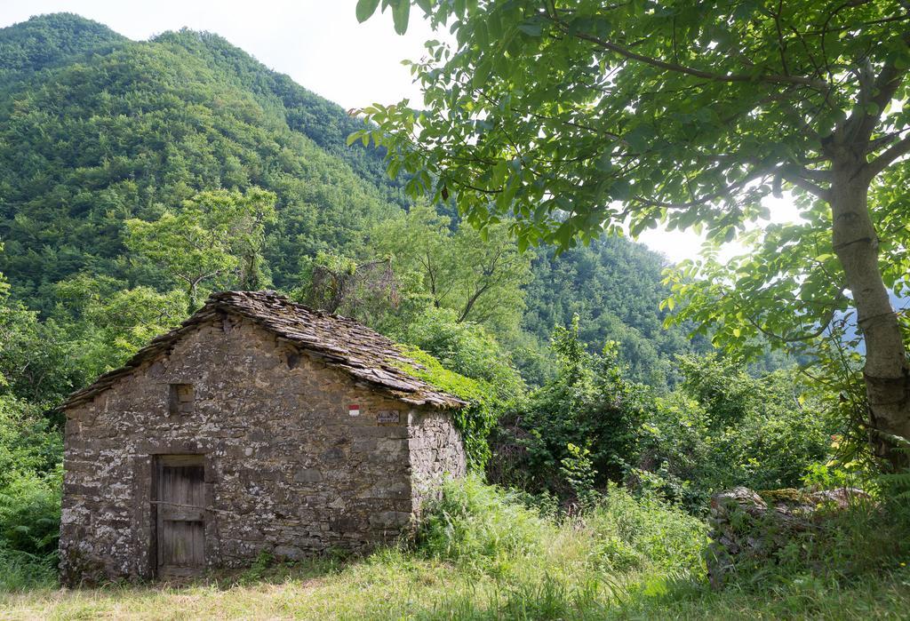 La Casa Nel Bosco-Senza Auto Pension Ponte della Venturina Buitenkant foto