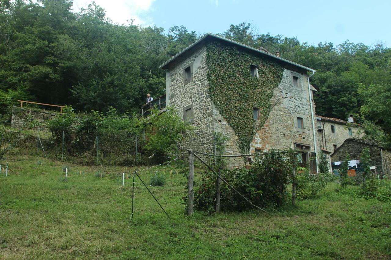 La Casa Nel Bosco-Senza Auto Pension Ponte della Venturina Buitenkant foto