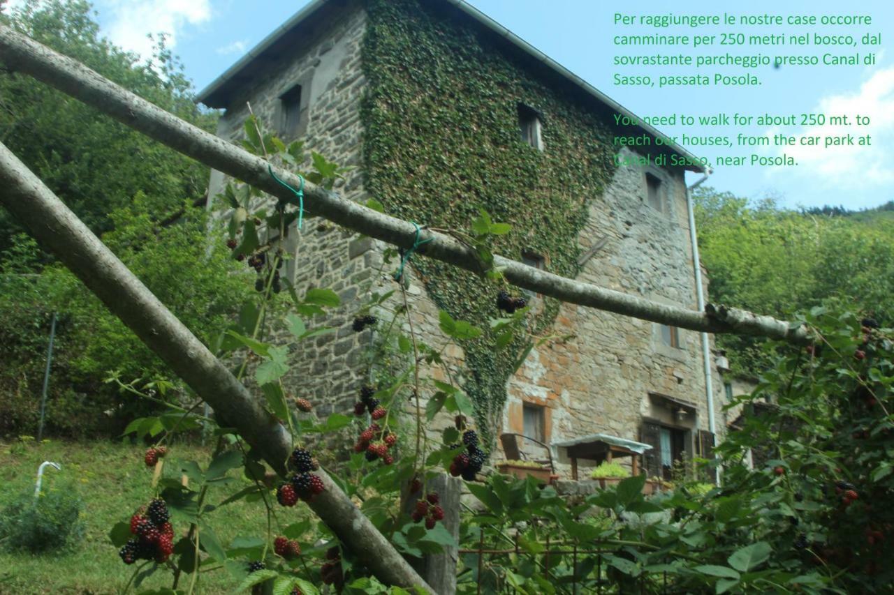 La Casa Nel Bosco-Senza Auto Pension Ponte della Venturina Buitenkant foto